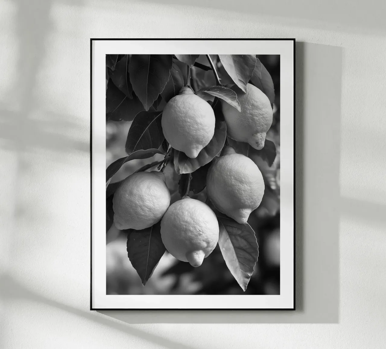 Limoni su ramo plexiglass da Monochrome