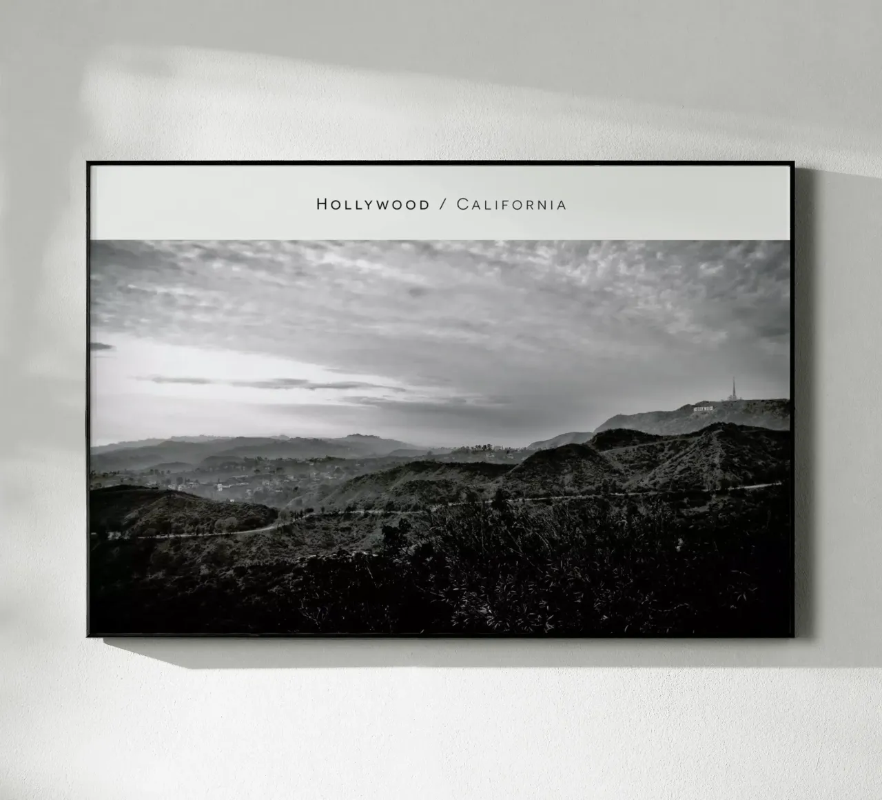 Hollywood B&W plexiglass da In Full Color