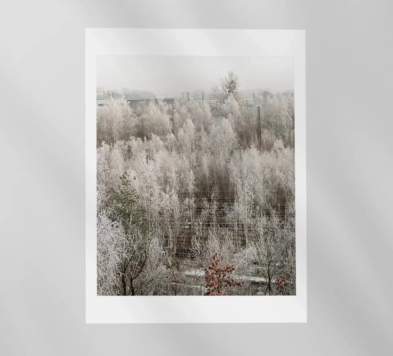 Congelato pellicola backlit da SunflowerDE