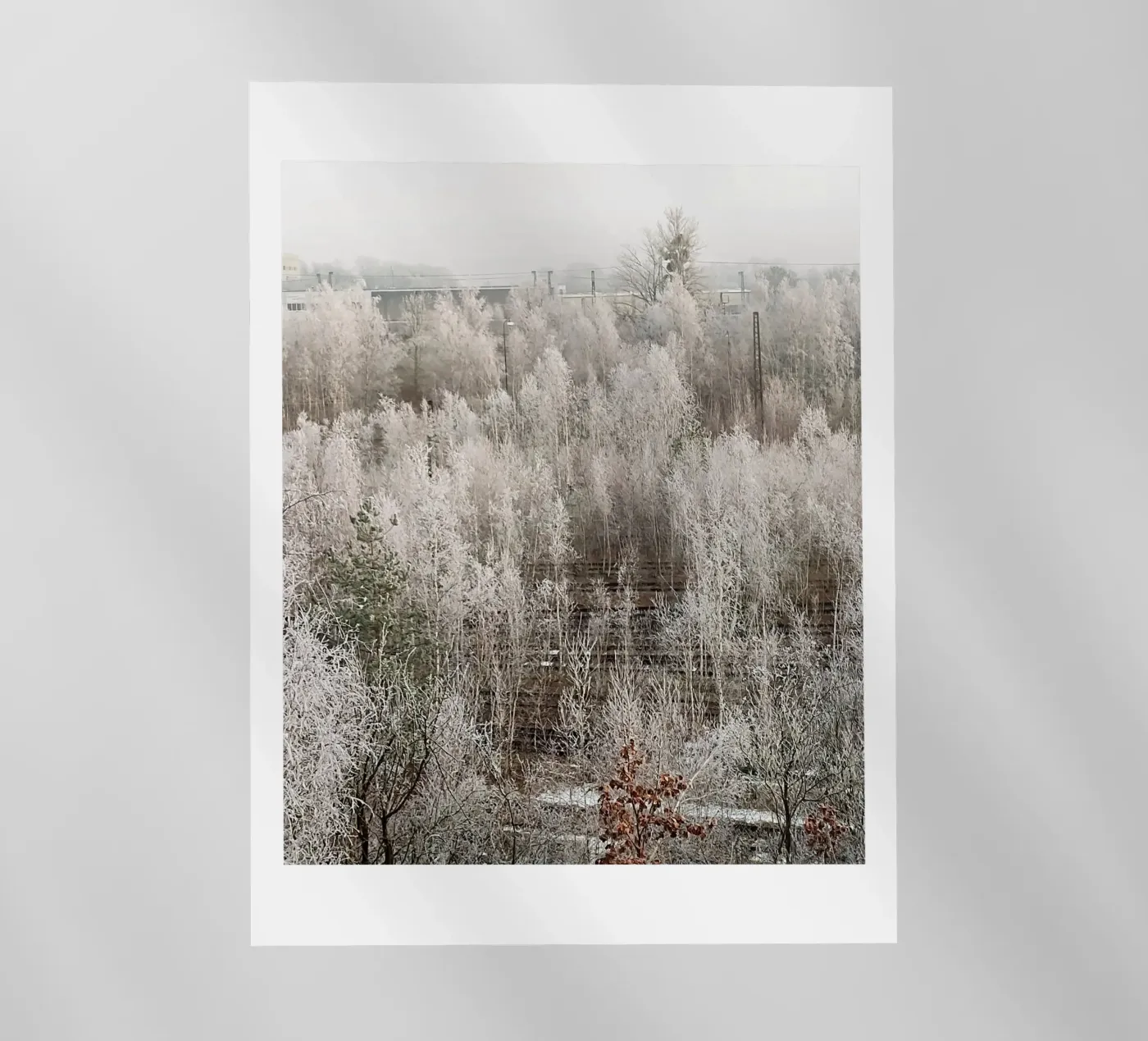 Bevroren backlit folie van SunflowerDE