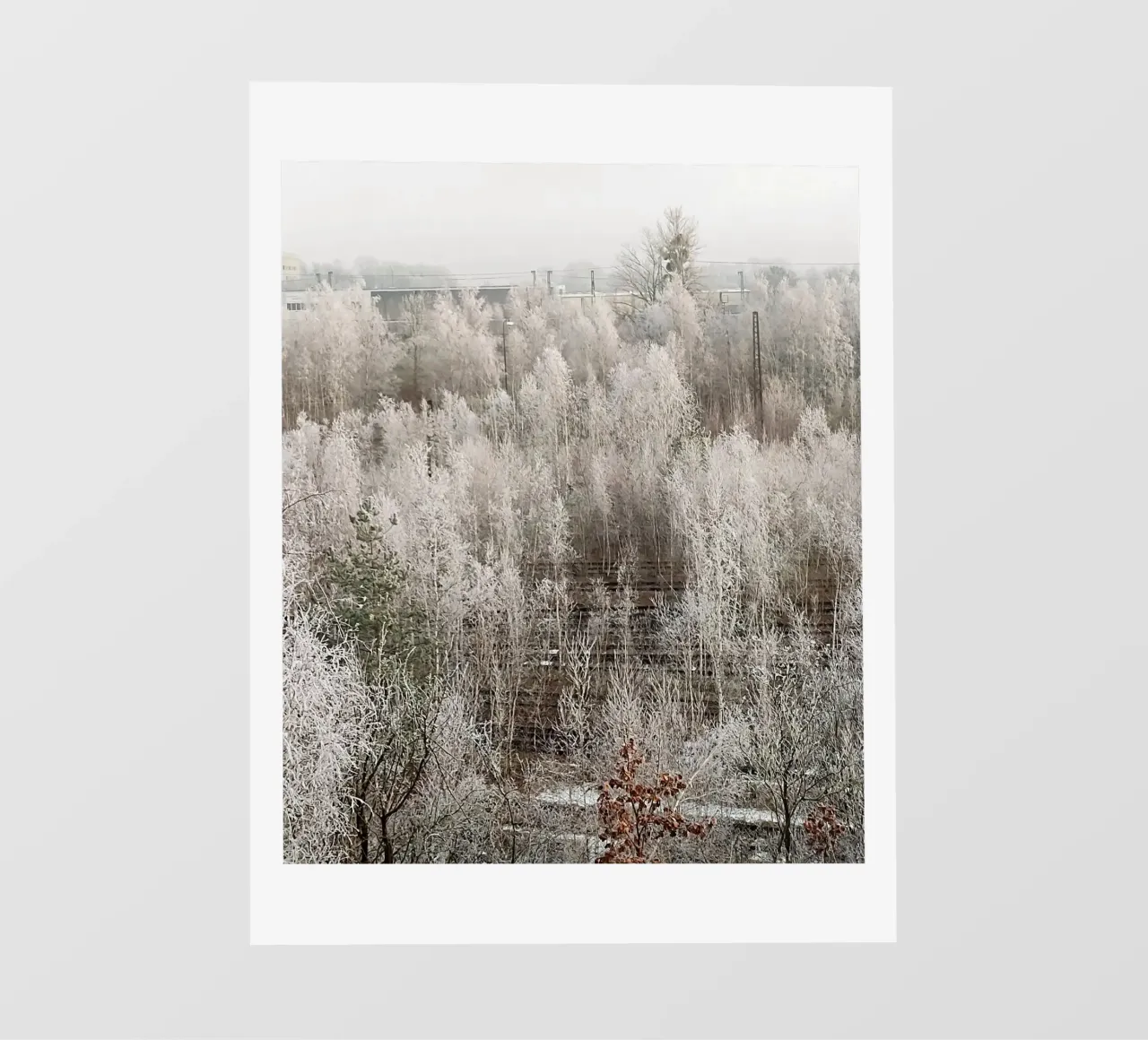 Congelato pellicola backlit da SunflowerDE