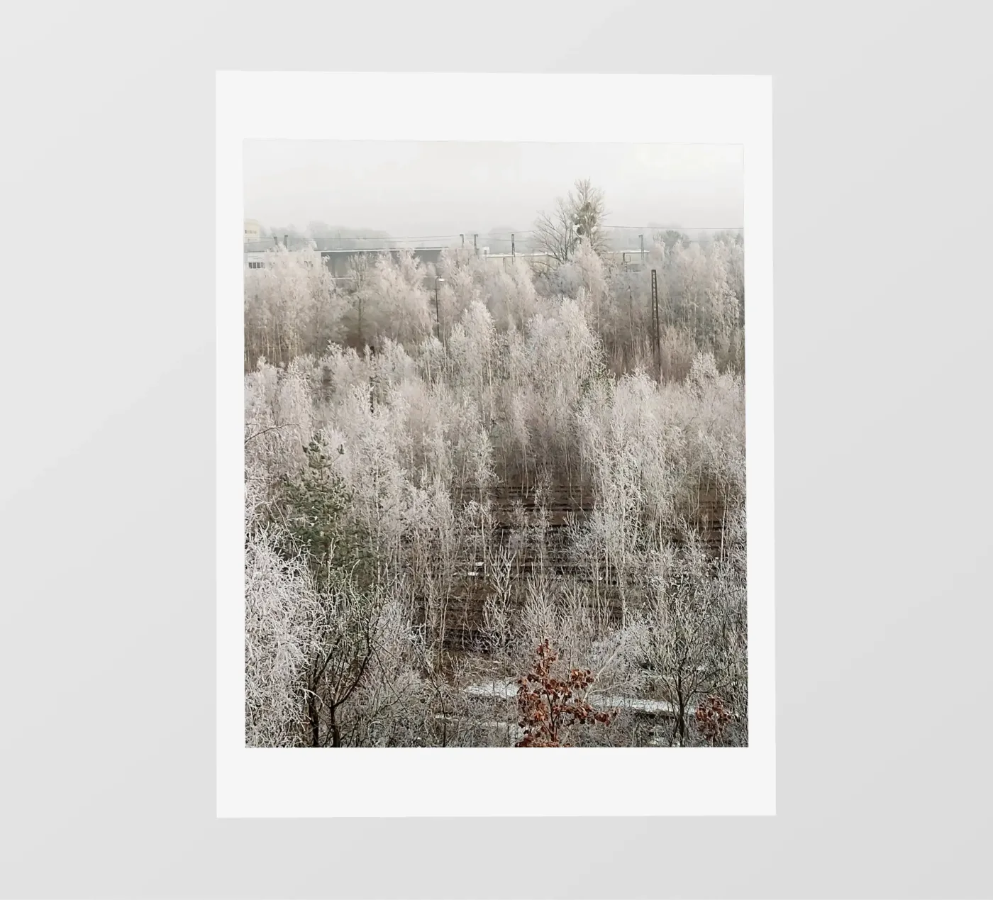 Bevroren backlit folie van SunflowerDE