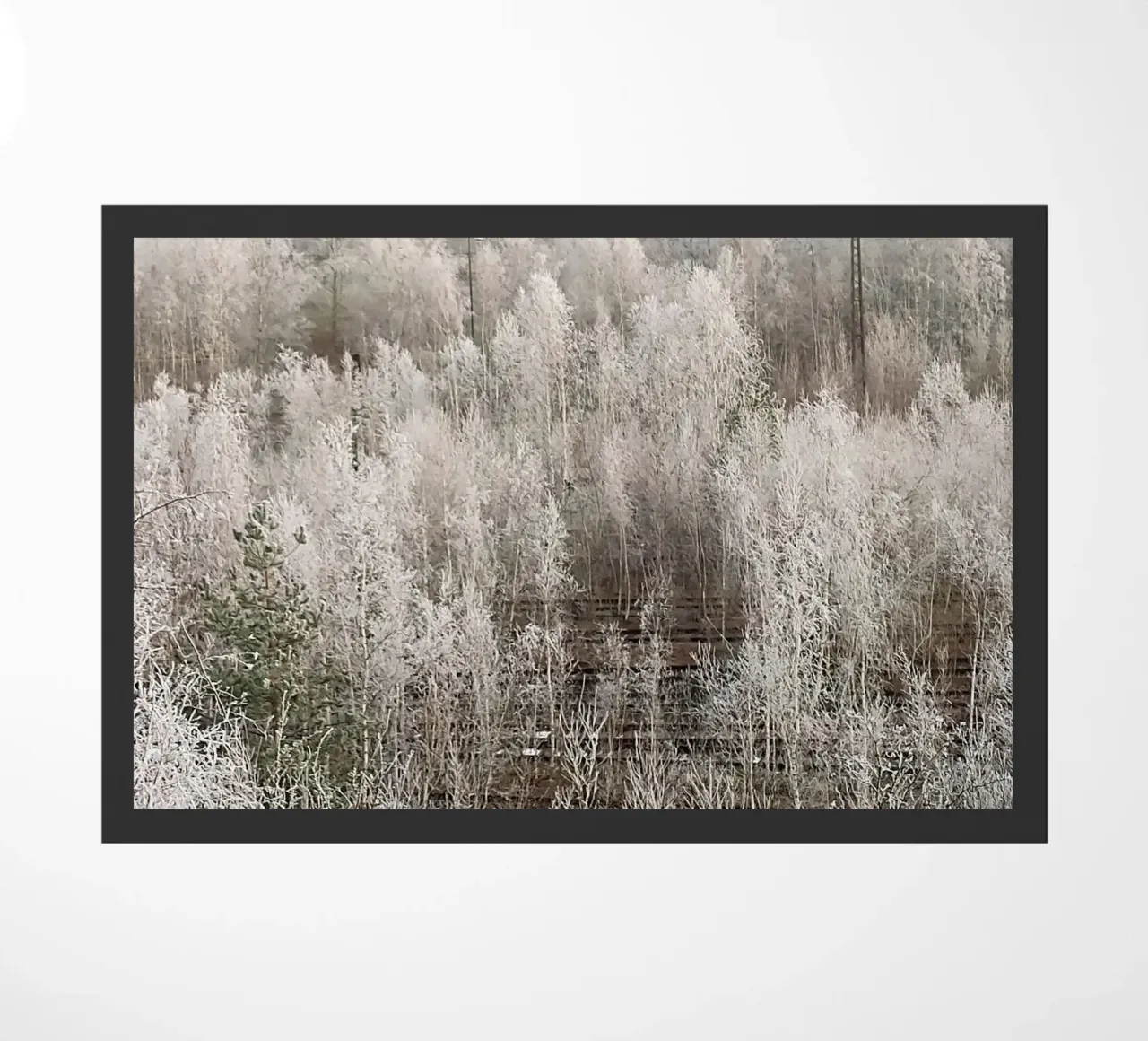 Frozen Fußmatte von SunflowerDE