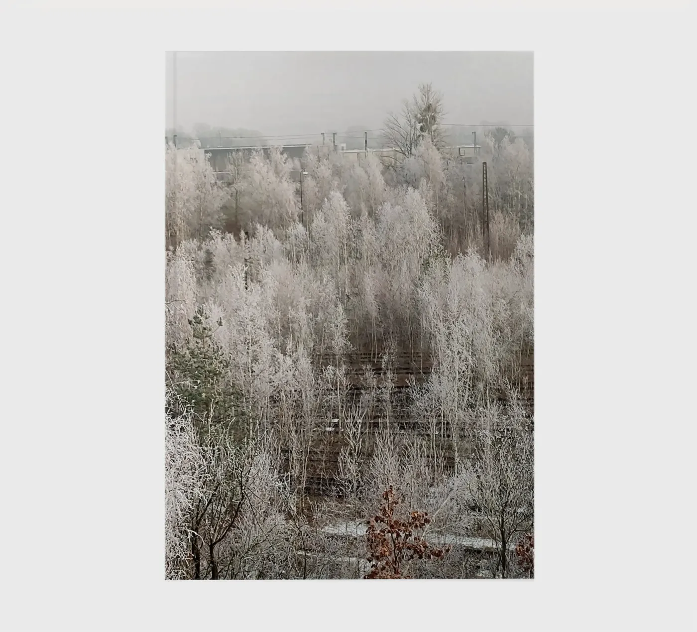 Congelato quaderno da SunflowerDE