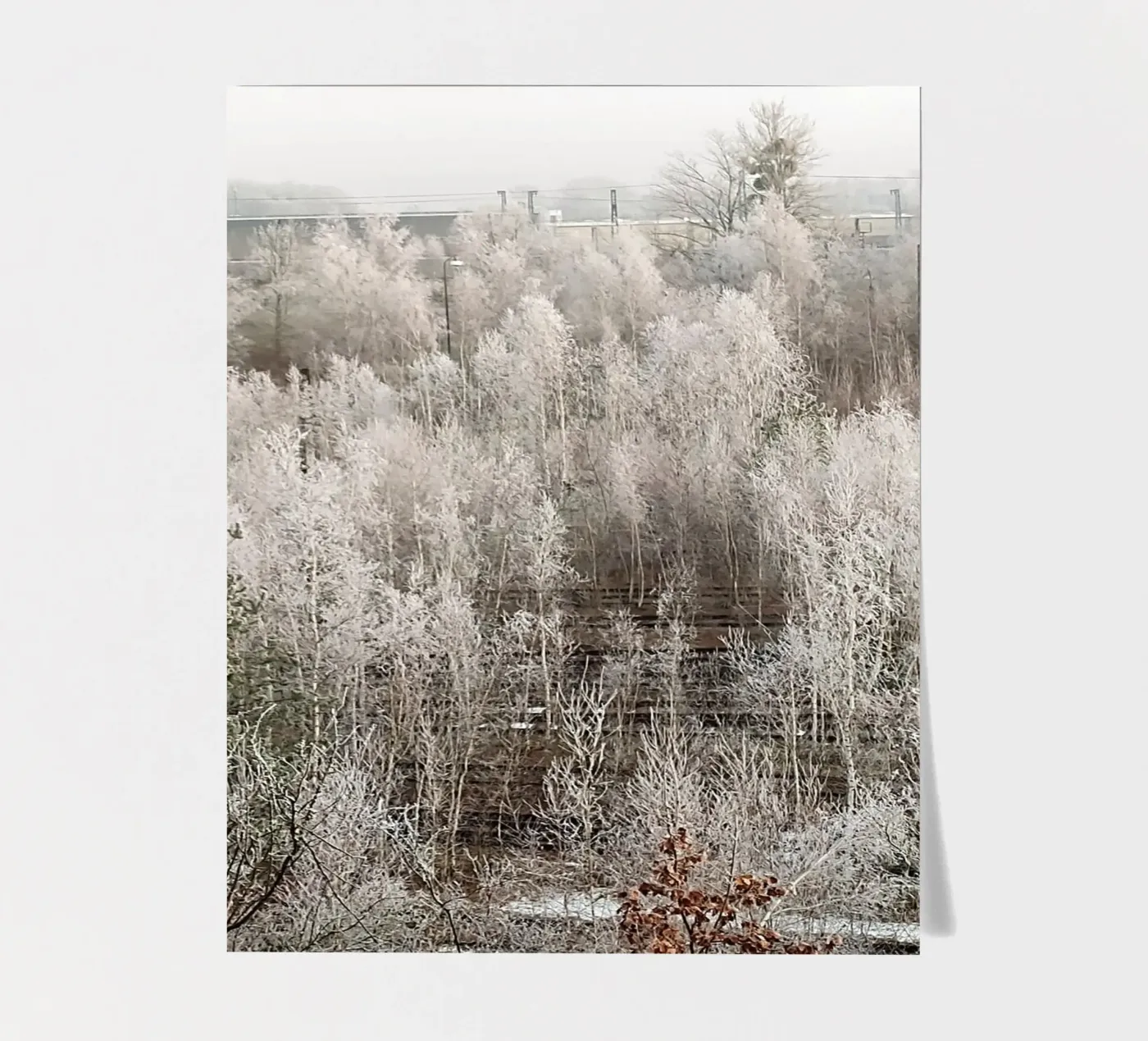 Frozen sticker sheet by SunflowerDE