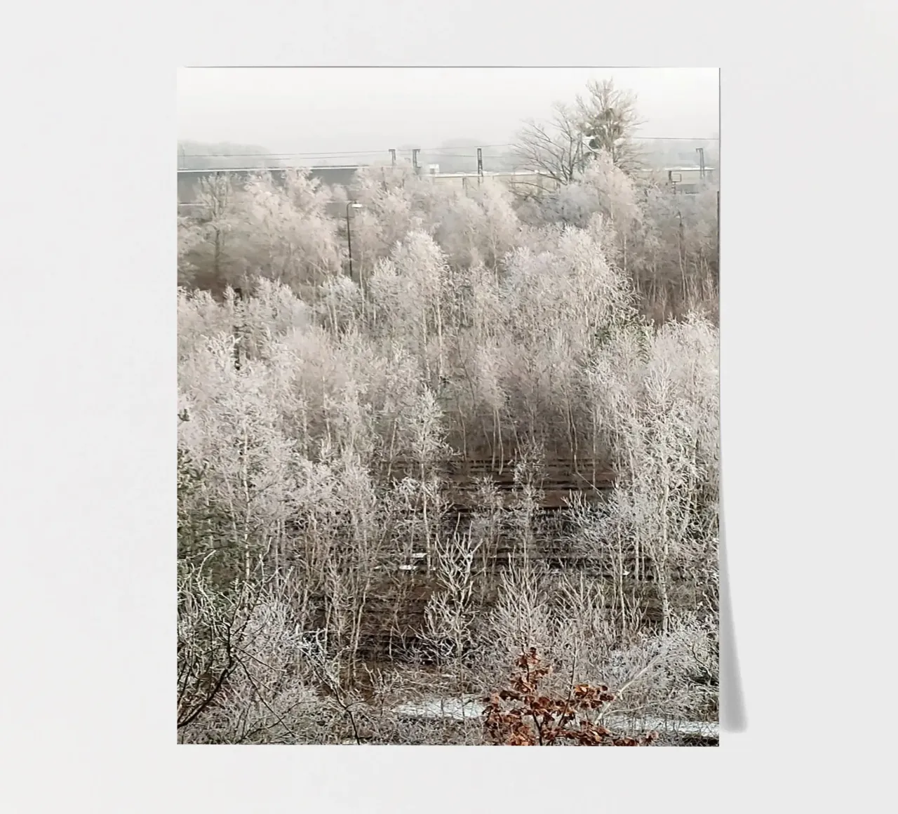 Frozen sticker sheet by SunflowerDE