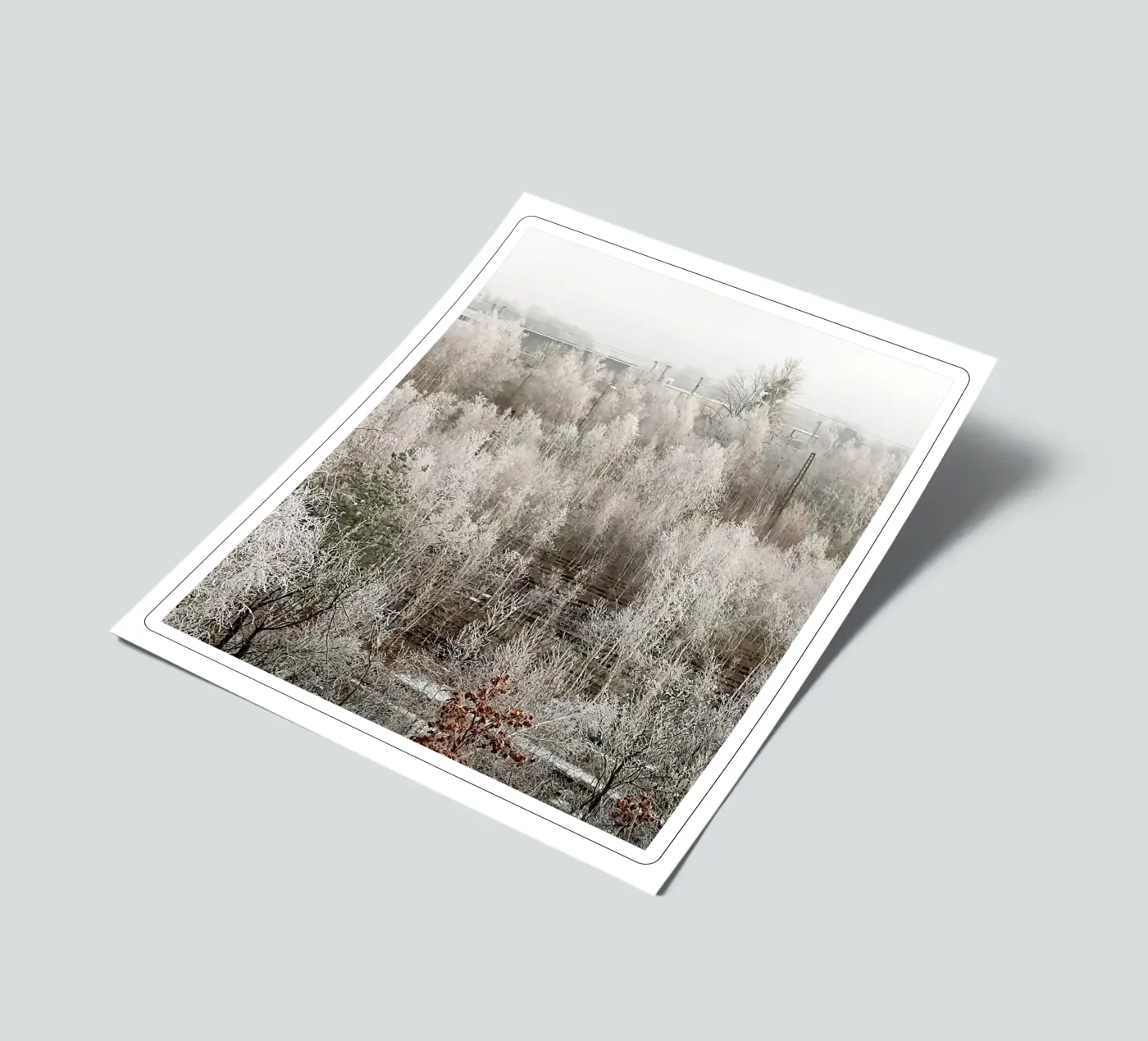 Frozen sticker sheet by SunflowerDE