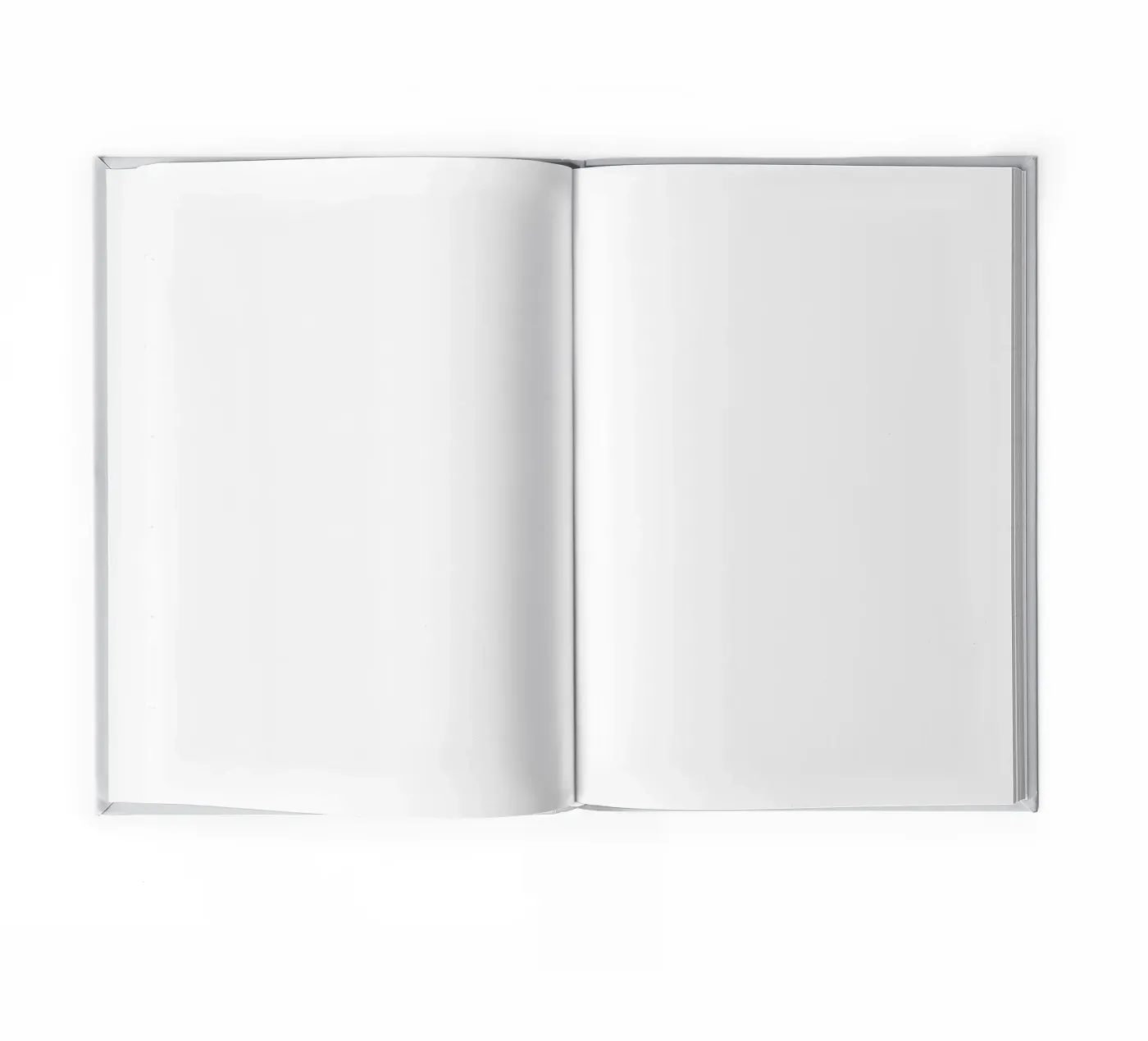 Blush Moon notebook by Orara Studio