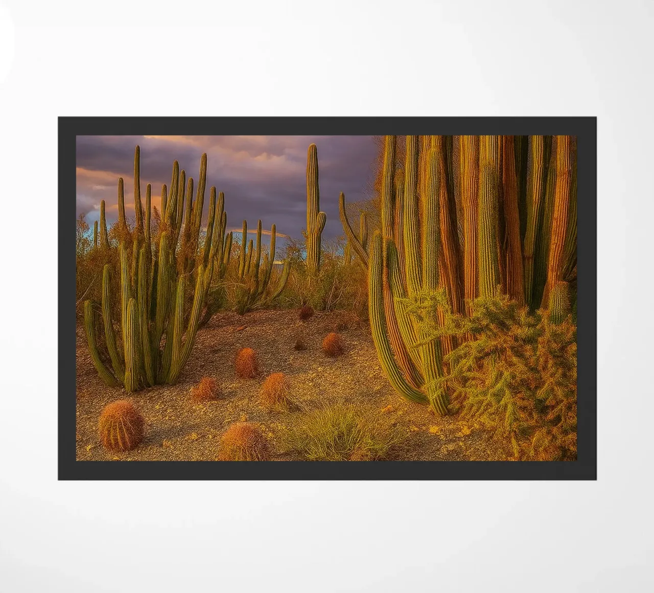 albero di cactus zerbino da Maraza