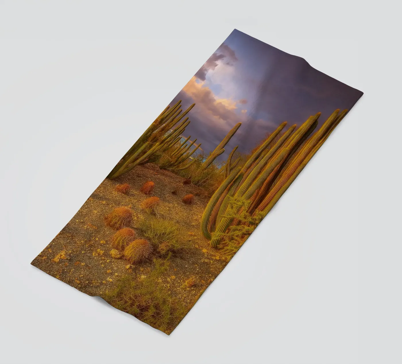 cactus tree telo mare da Maraza