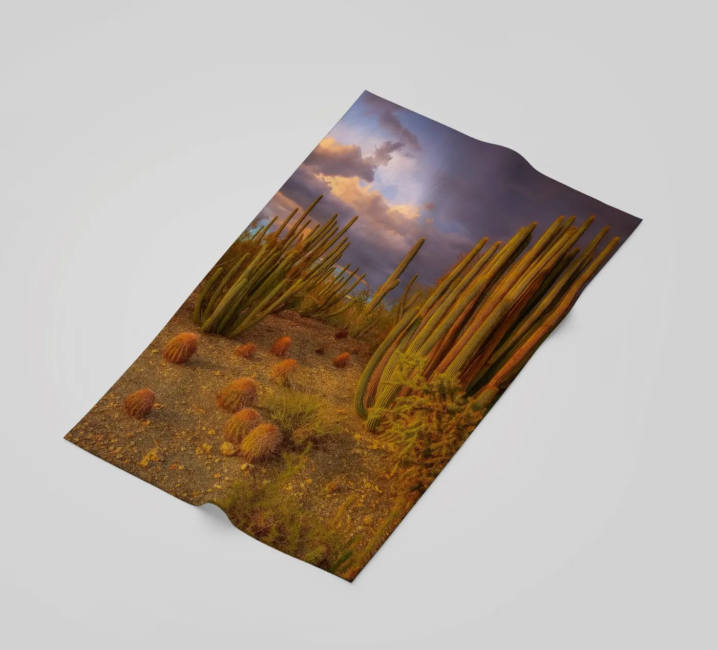 cactus tree telo mare da Maraza