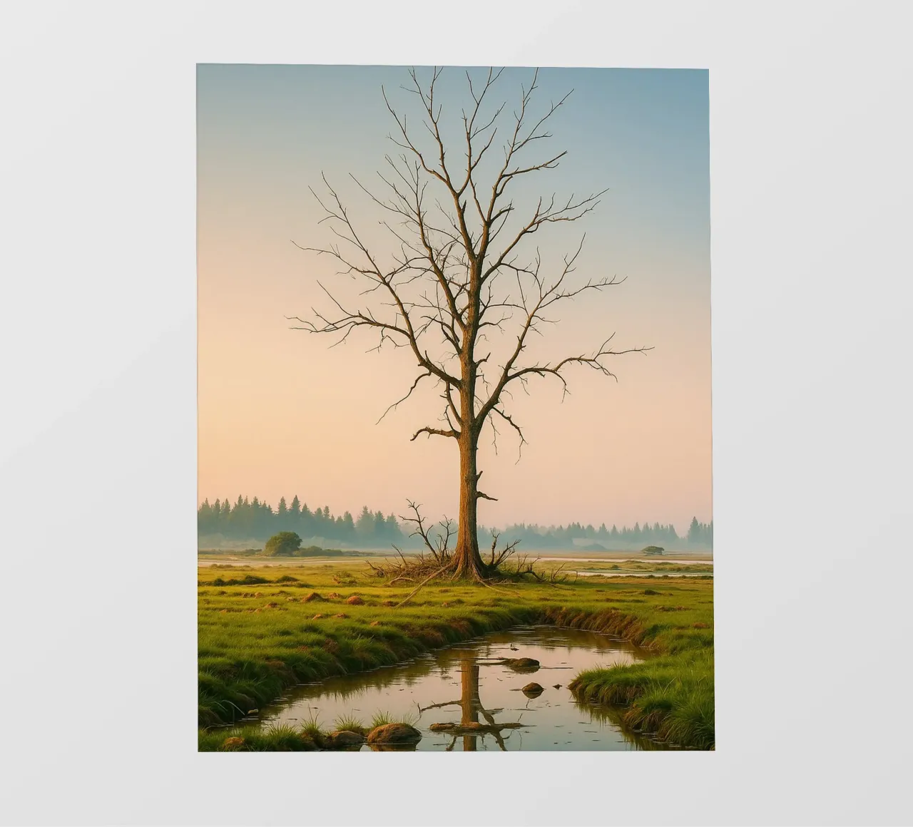 albero secco telo in pvc da Maraza