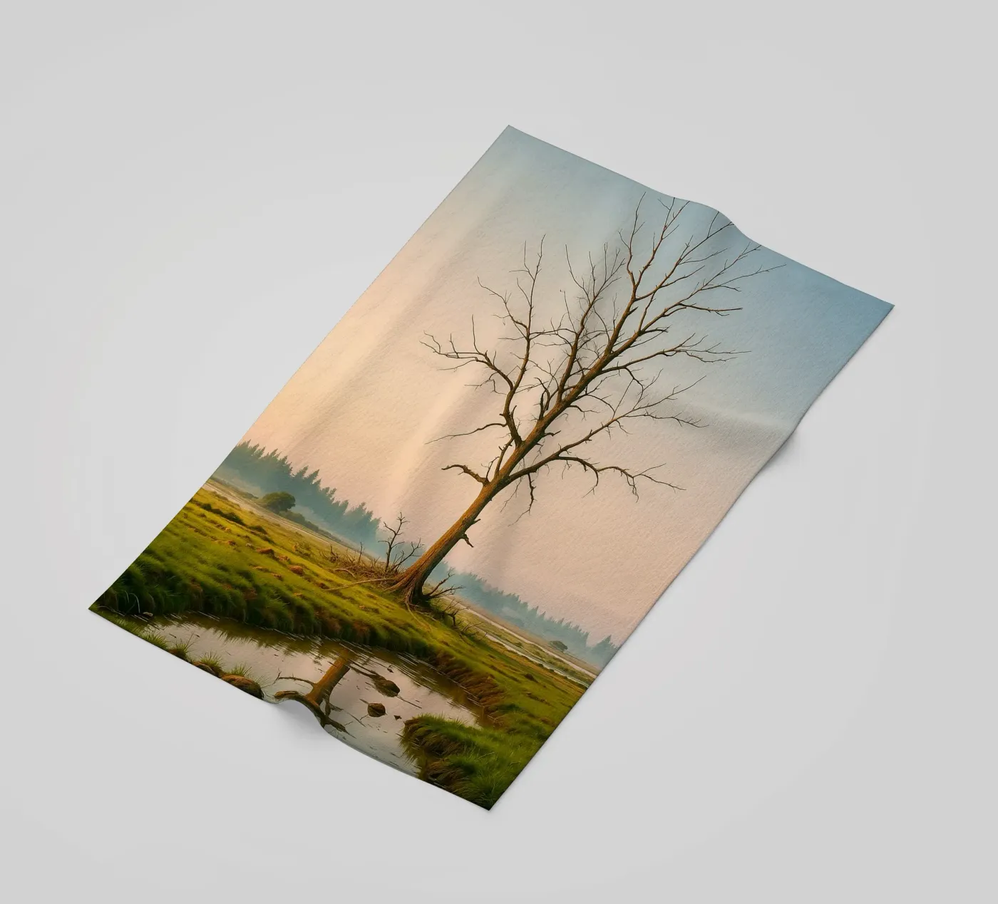 dry tree telo mare da Maraza