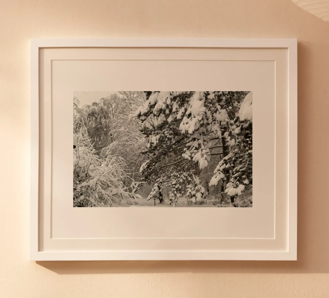 Winter forest poster by SunflowerDE