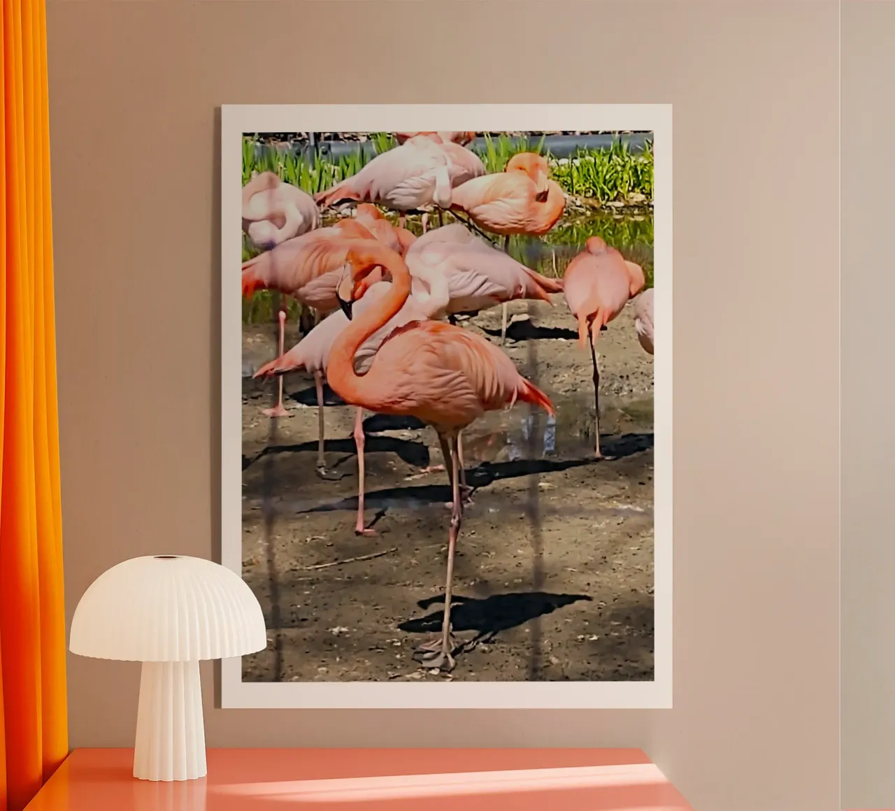 Flamingos plexiglass da SunflowerDE