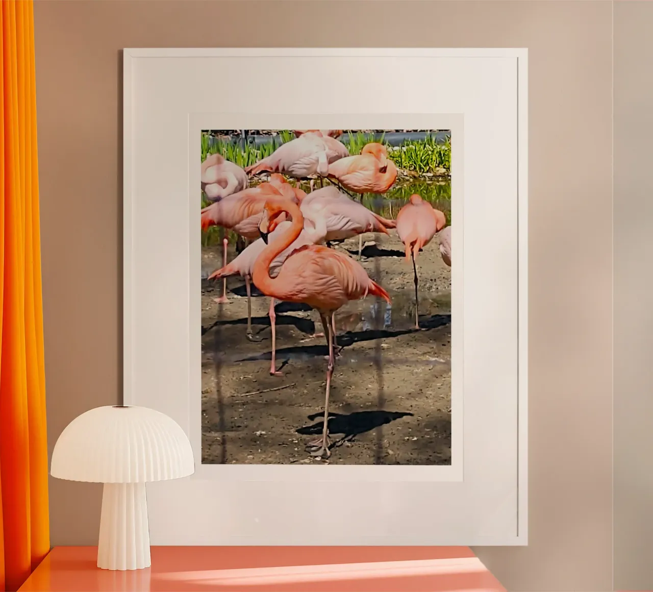 Flamingos poster van SunflowerDE