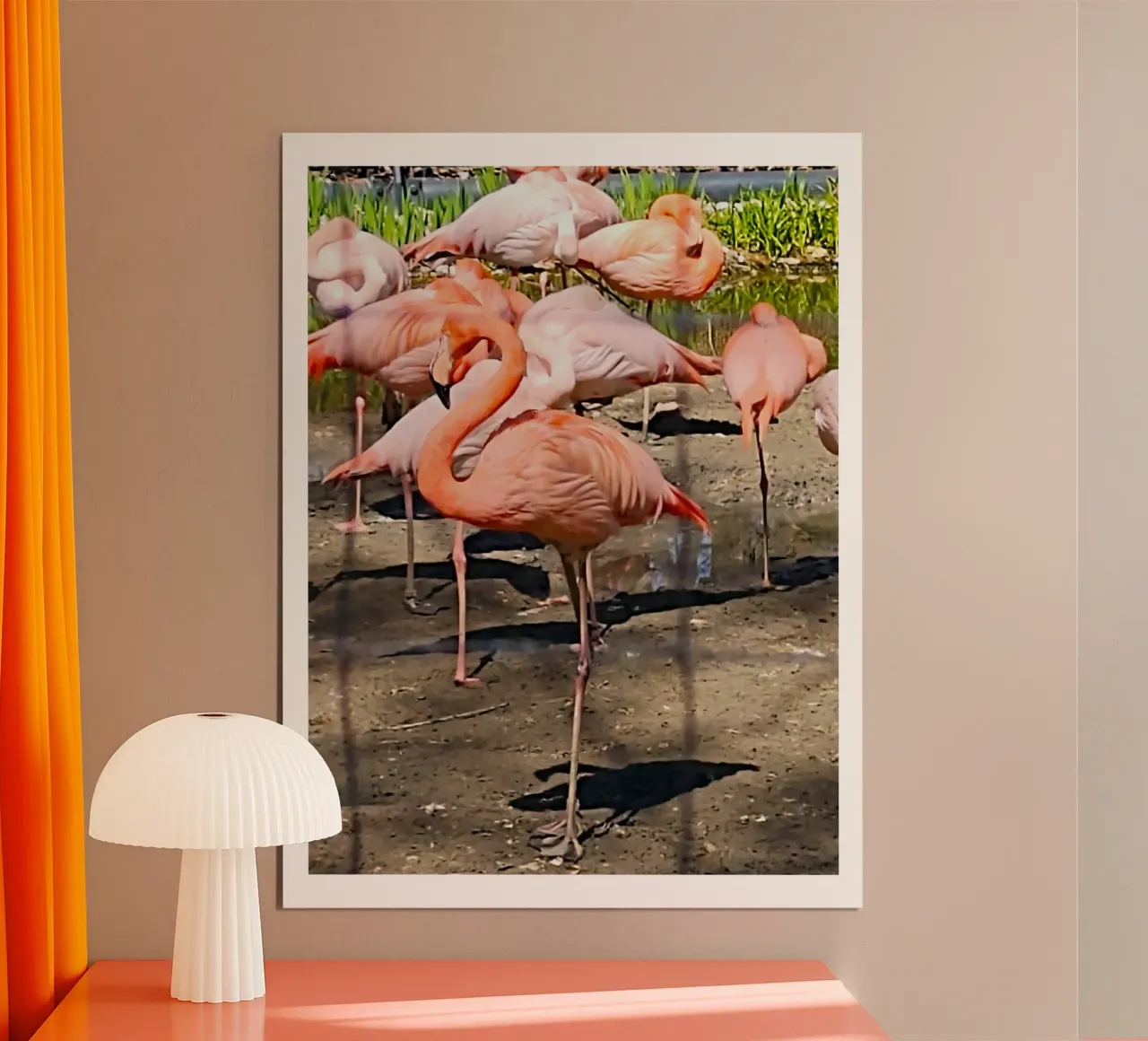 Flamingos poster van SunflowerDE