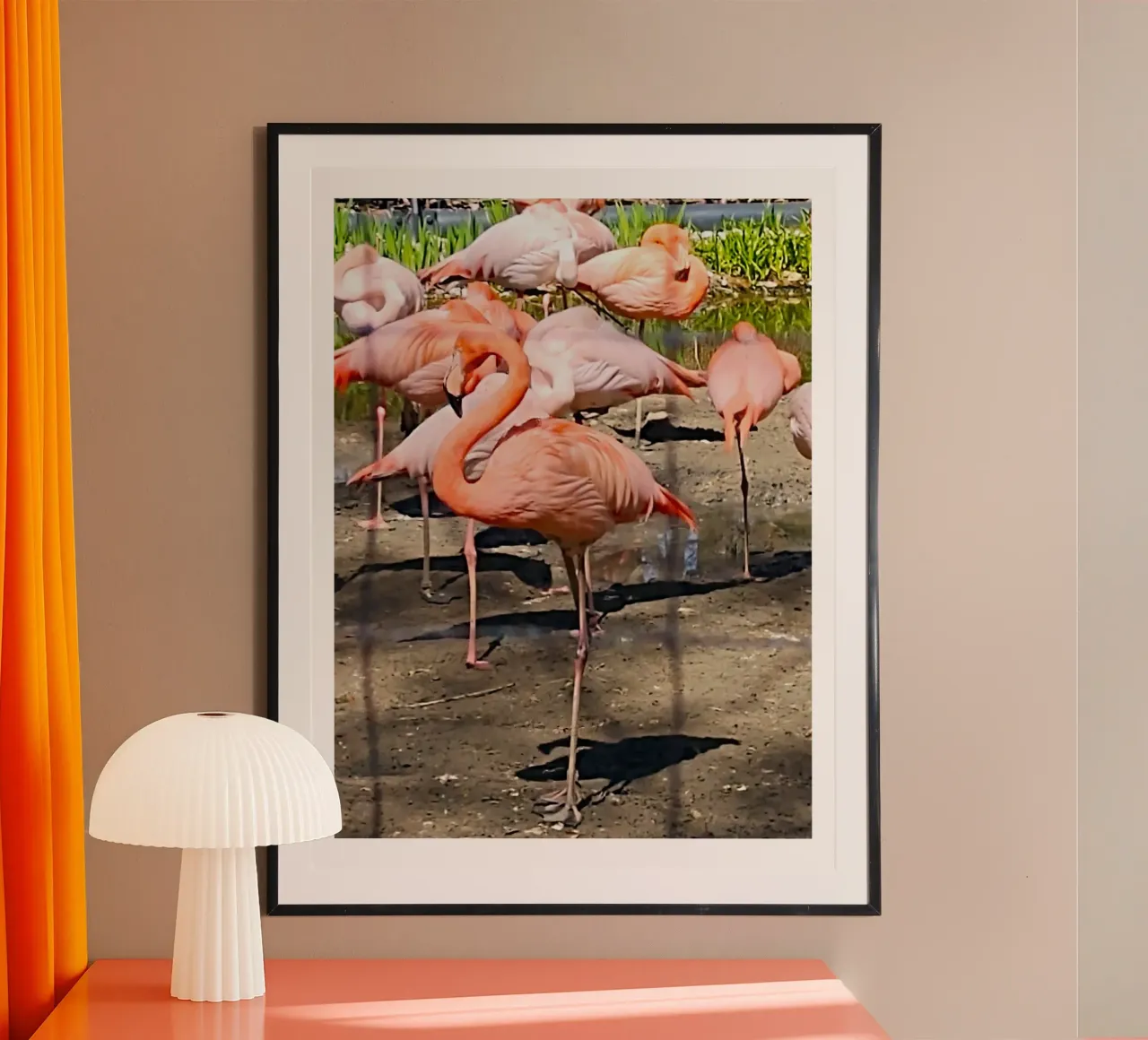 Flamingos poster van SunflowerDE