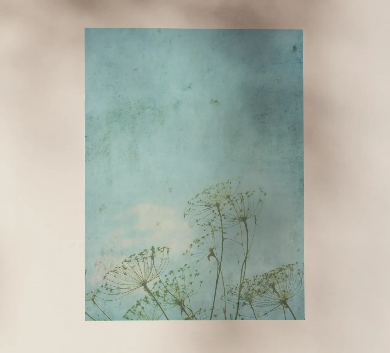 Quasi inverno pellicola backlit da ArtSkratches