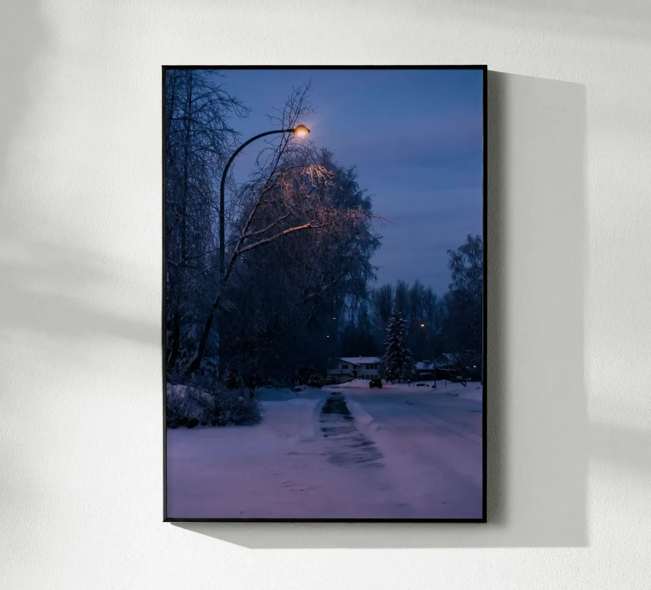 Winter Walk plexiglass da wowhannahphotos