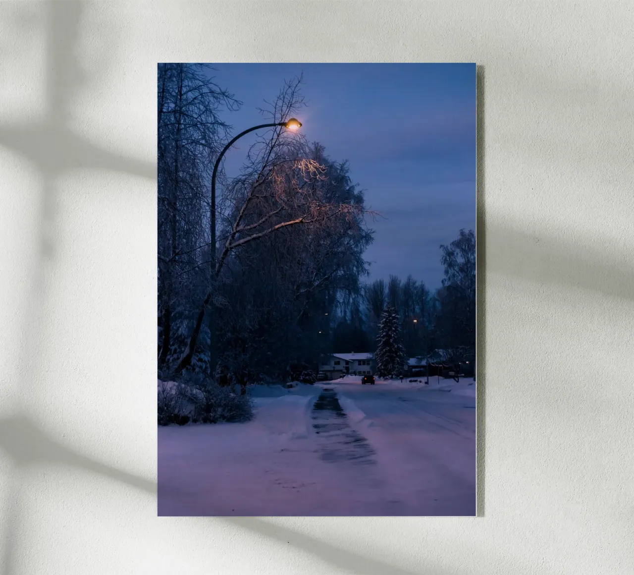 Winter Walk plexiglass da wowhannahphotos