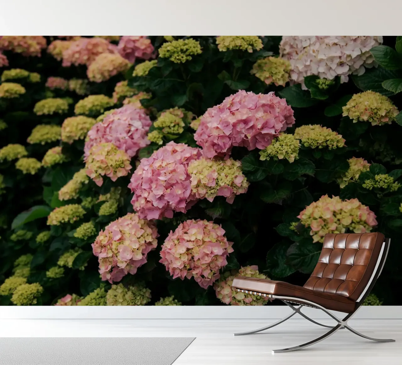 Hydrangeas fotobehang van wowhannahphotos