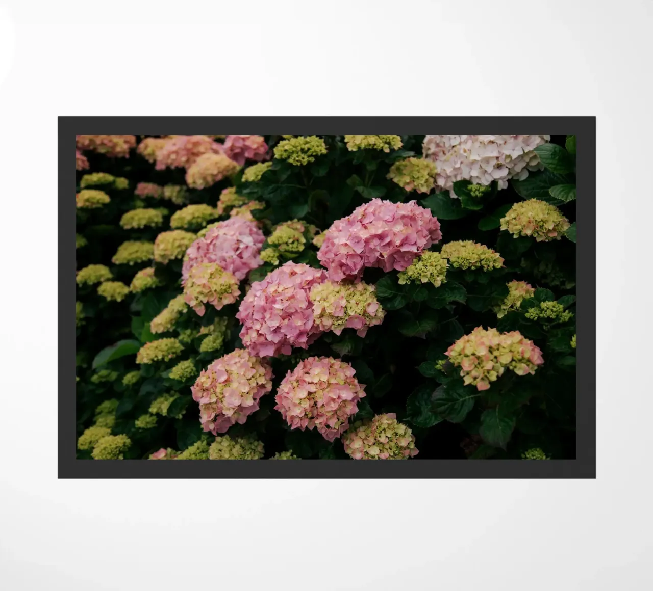 Hydrangeas doormat by wowhannahphotos