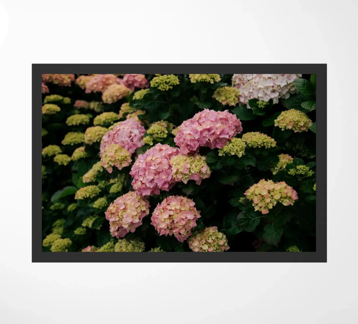 Hydrangeas Fußmatte von wowhannahphotos