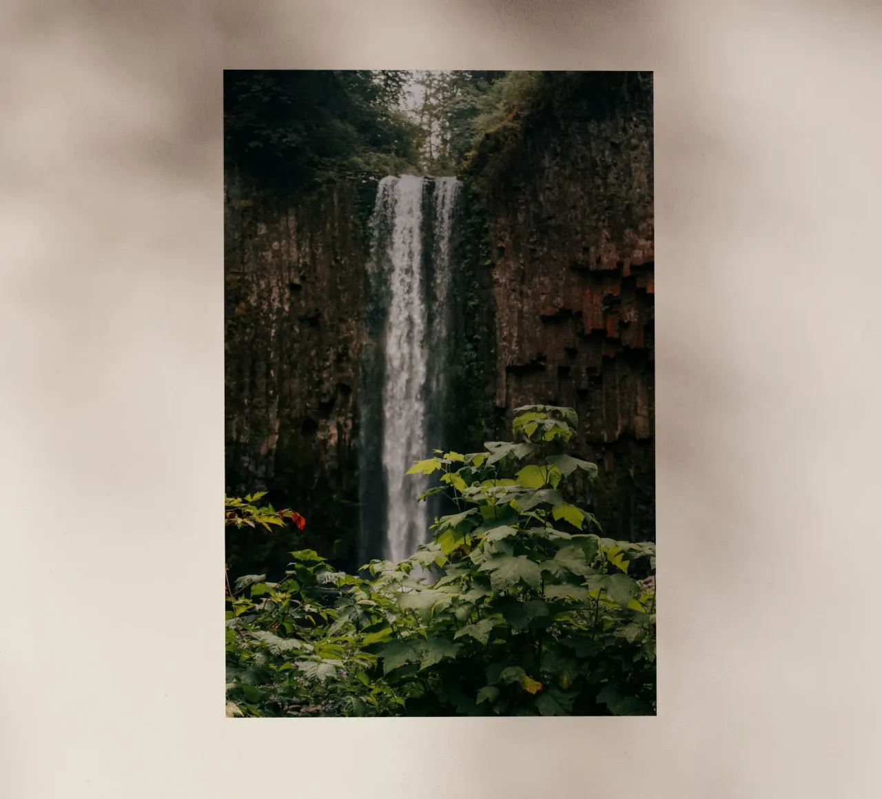 Forest Waterfall II pellicola backlit da wowhannahphotos