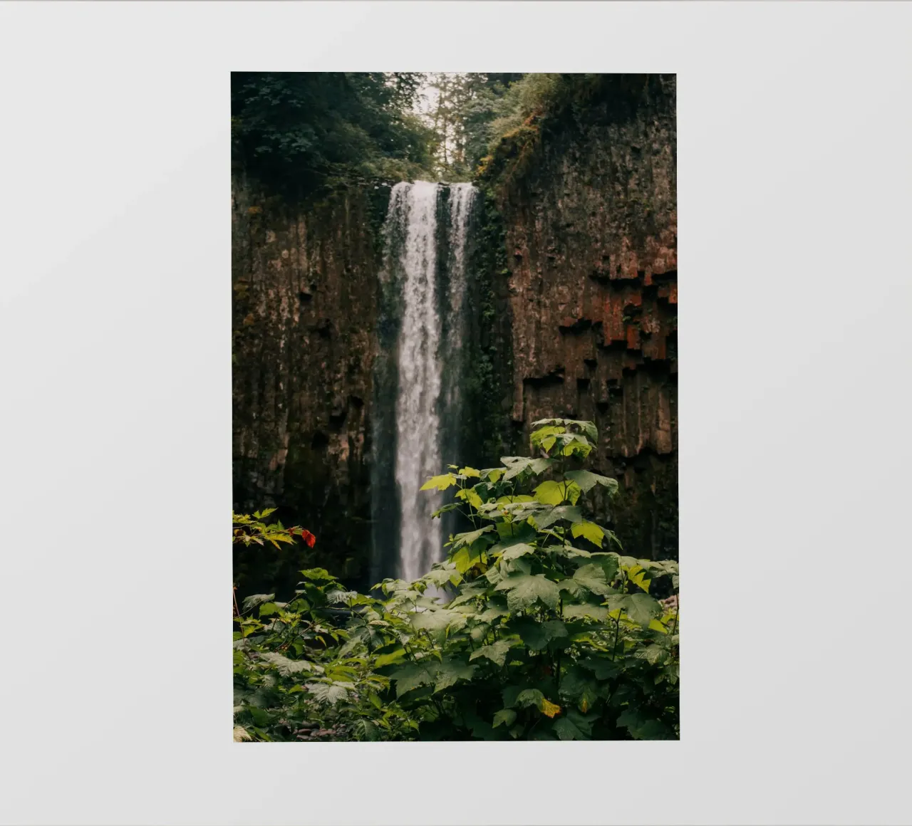 Forest Waterfall II pellicola backlit da wowhannahphotos