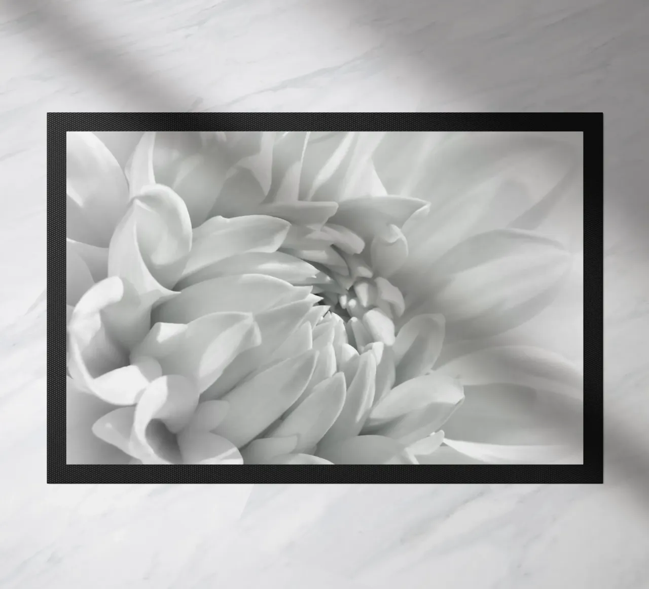 Dalia zerbino da Atteloi