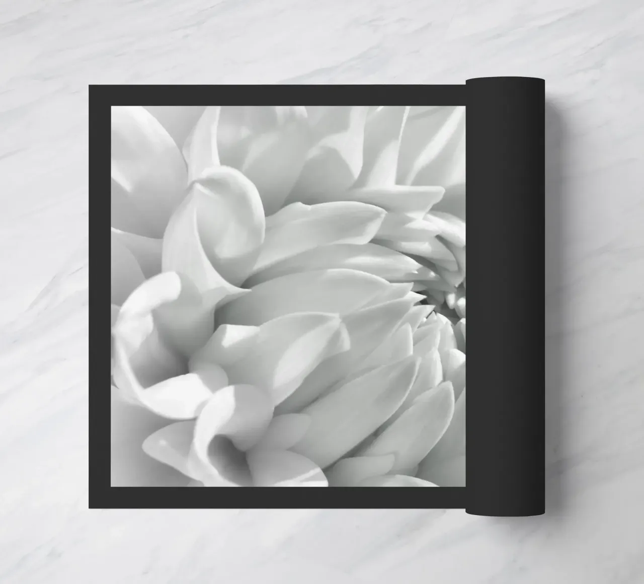 Dalia zerbino da Atteloi