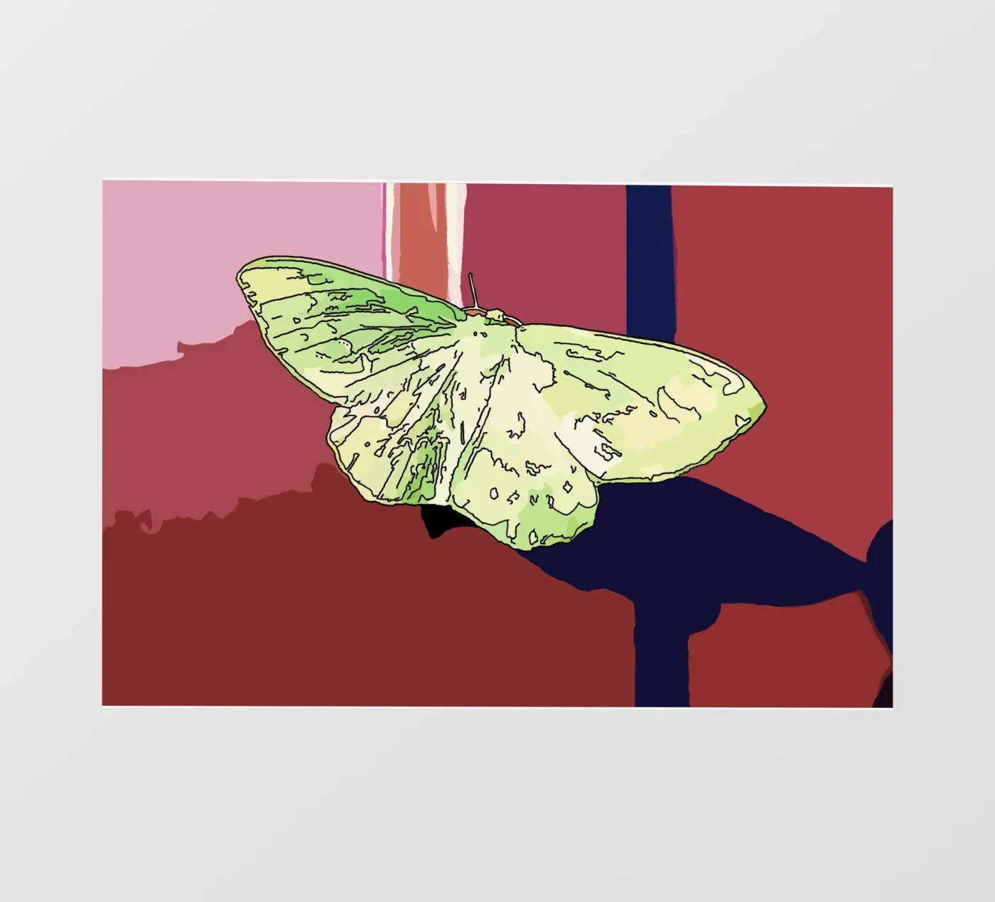 Vlinder backlit folie van Massimo Frascogna