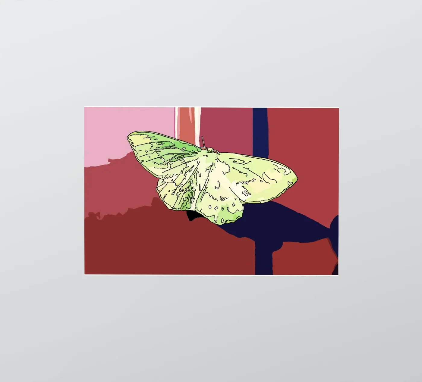 Butterfly adesivo da Massimo Frascogna