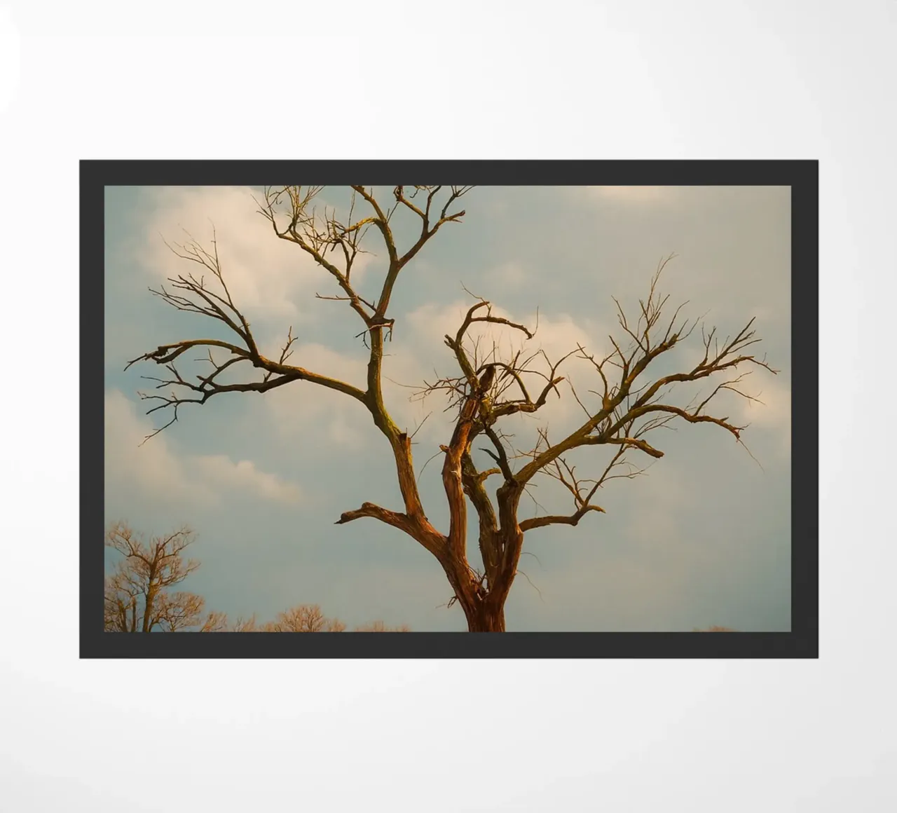 single dry tree doormat by Maraza