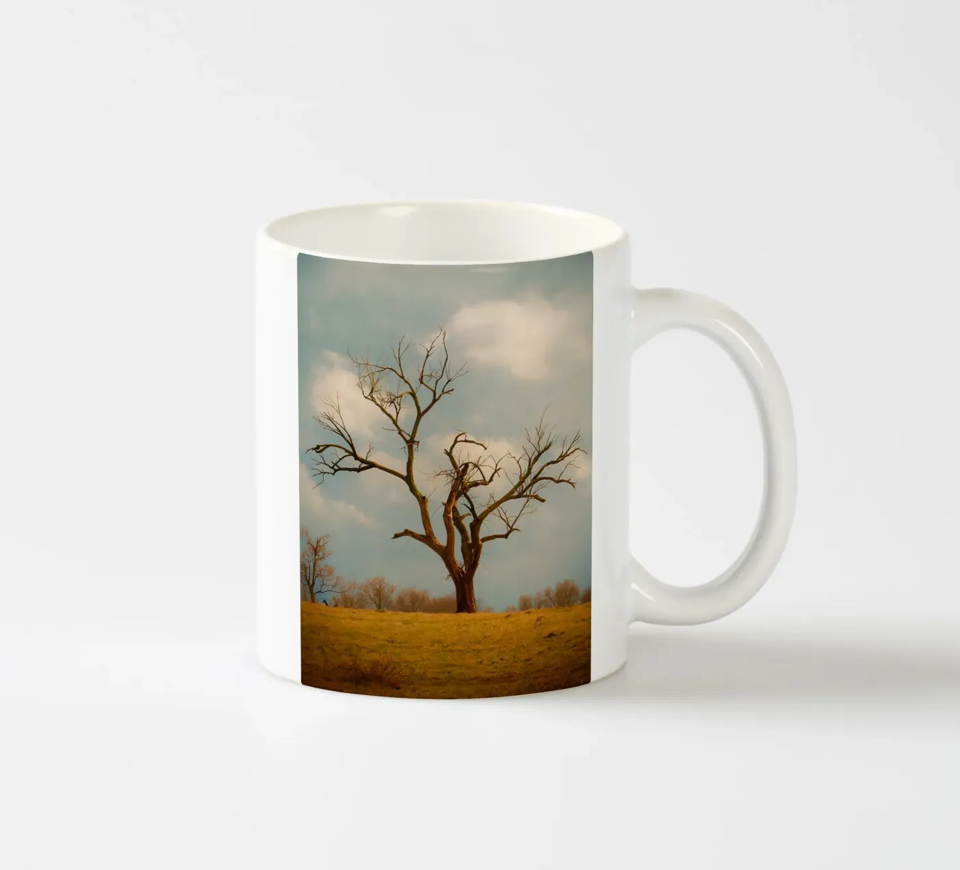 singolo albero secco tazza in ceramica da Maraza