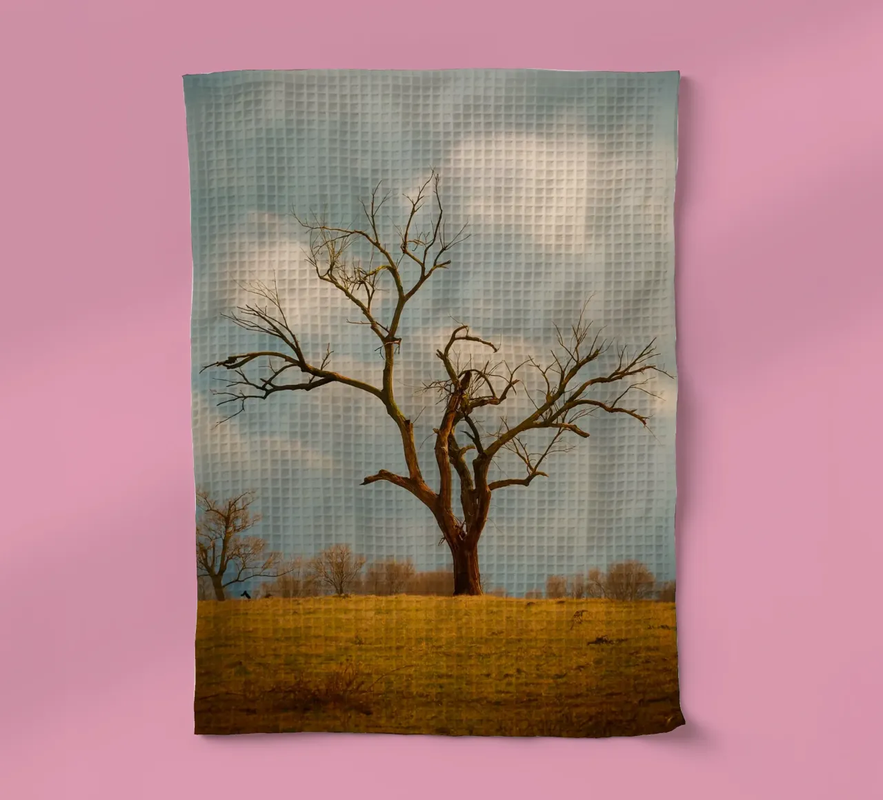 un seul arbre sec torchon de Maraza