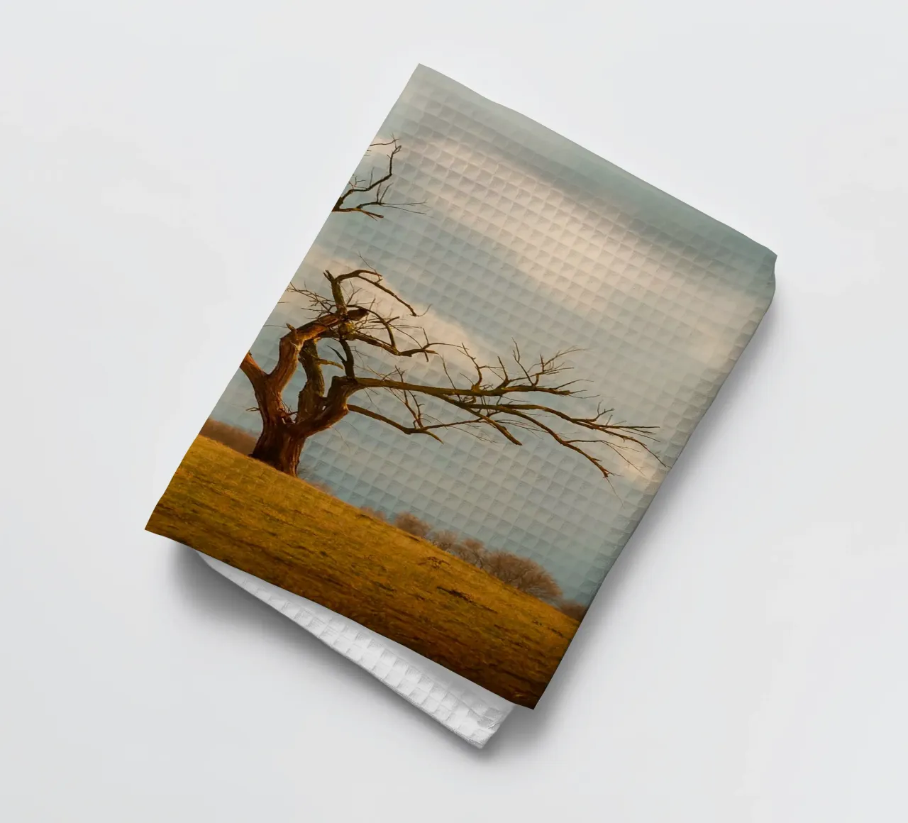 un seul arbre sec torchon de Maraza