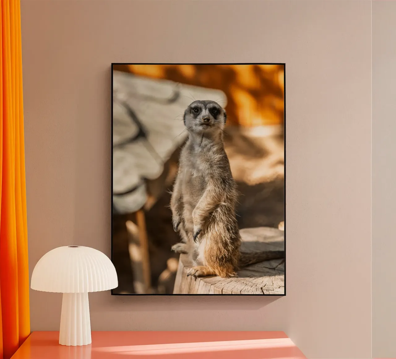 Un attento suricato in piedi su un tronco plexiglass da The Herringstore