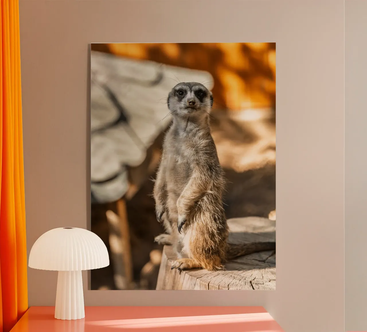 Un attento suricato in piedi su un tronco plexiglass da The Herringstore