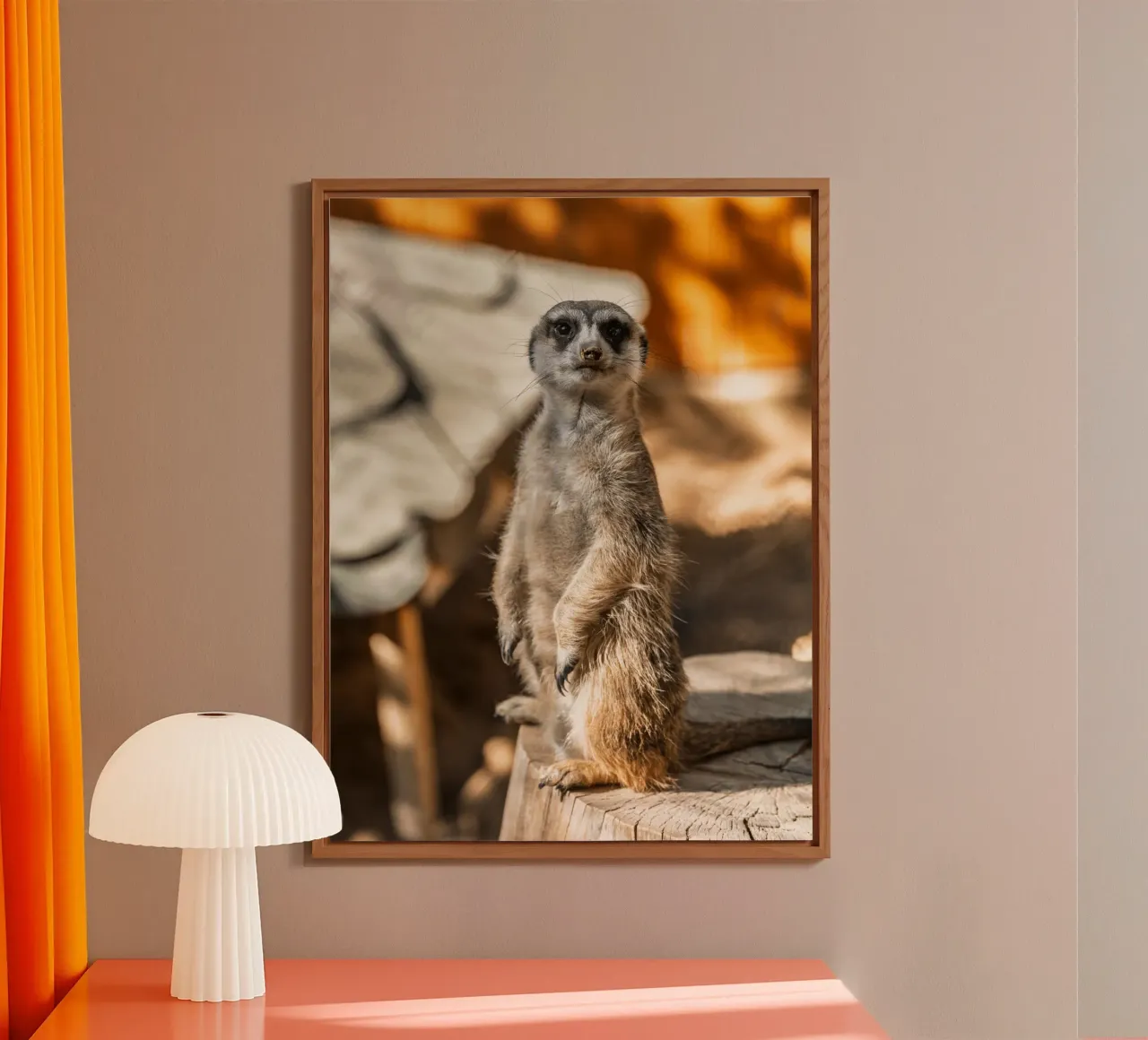 Un attento suricato in piedi su un tronco alluminio dibond da The Herringstore