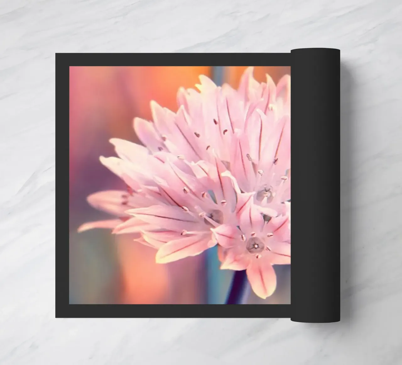 Allium zerbino da Atteloi