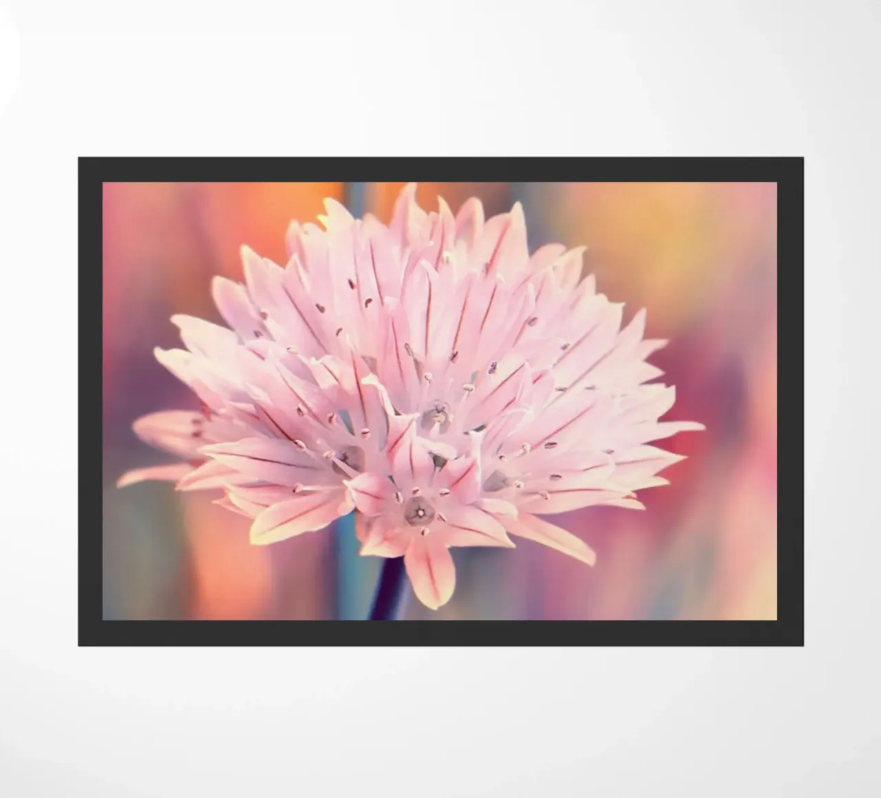 Allium zerbino da Atteloi