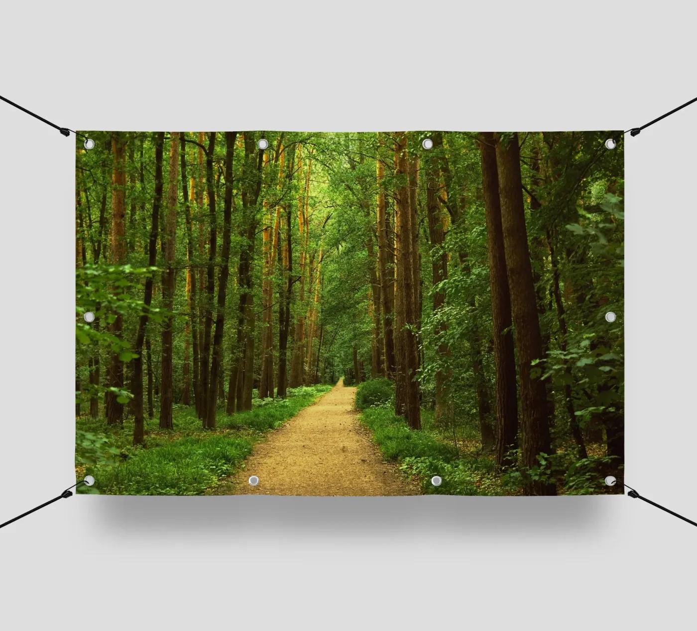 Sentiero forestale telo in pvc da Atteloi