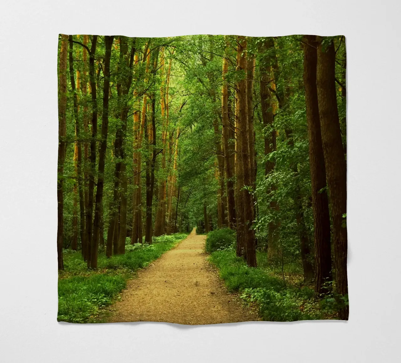 Forest path Fleecedecke von Atteloi