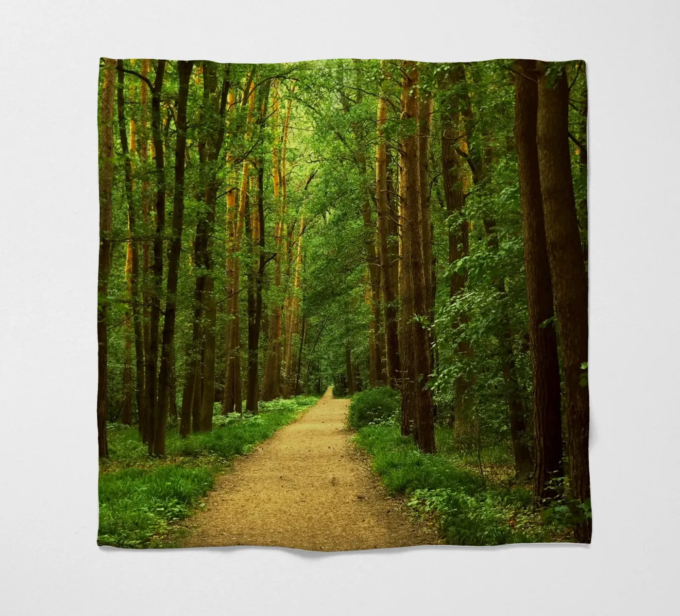 Forest path Fleecedecke von Atteloi