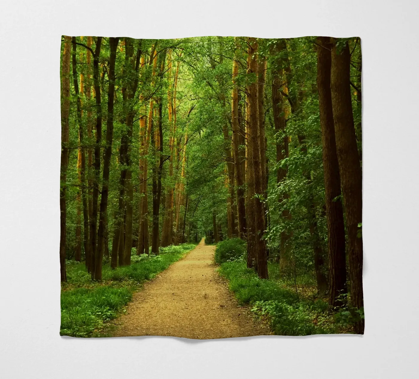 Forest path Fleecedecke von Atteloi