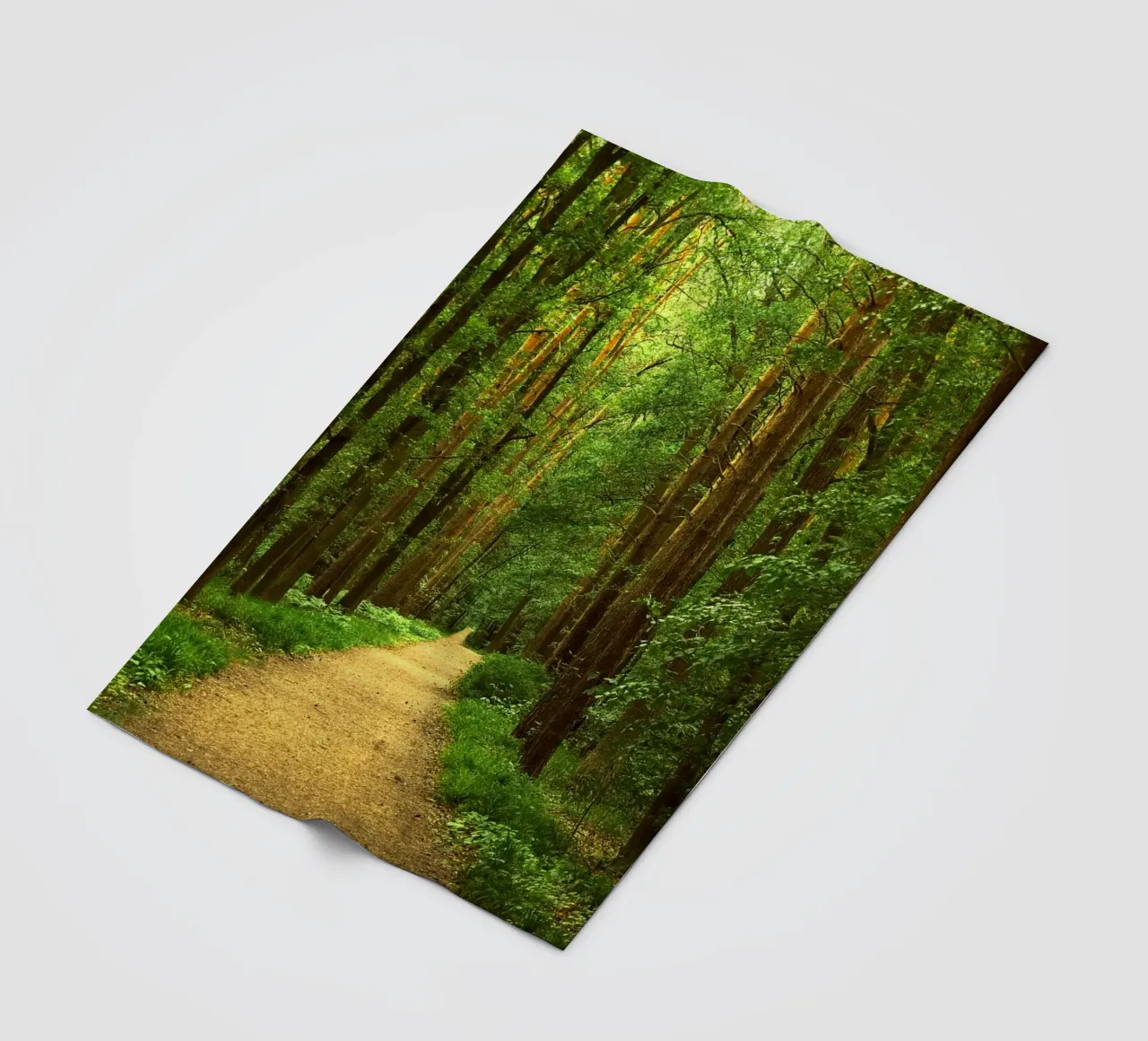 Forest path Fleecedecke von Atteloi