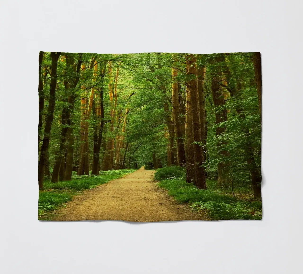 Forest path Fleecedecke von Atteloi