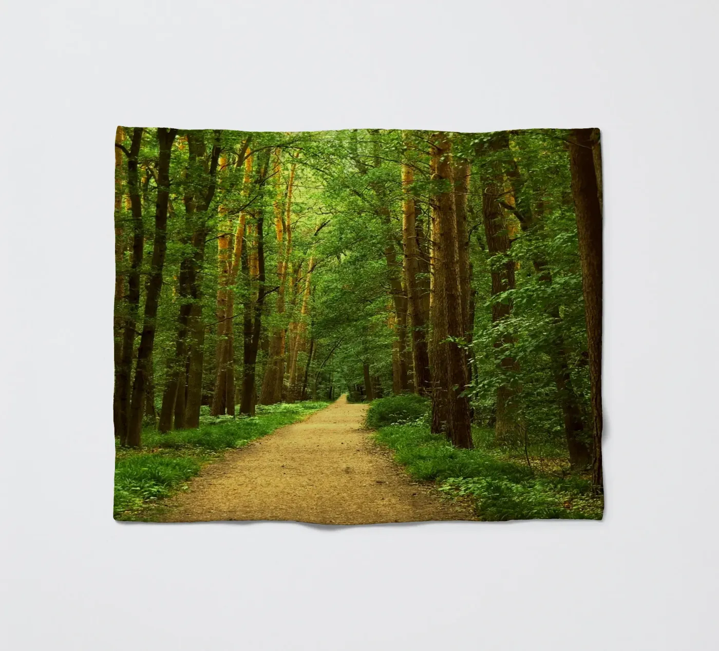 Forest path Fleecedecke von Atteloi